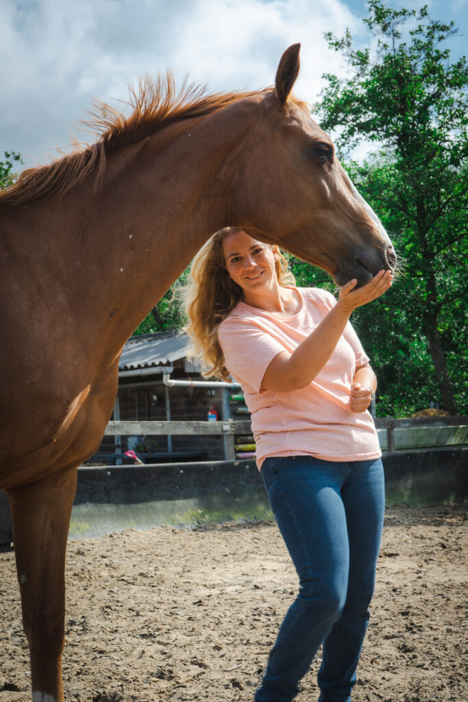 Paard en Balans